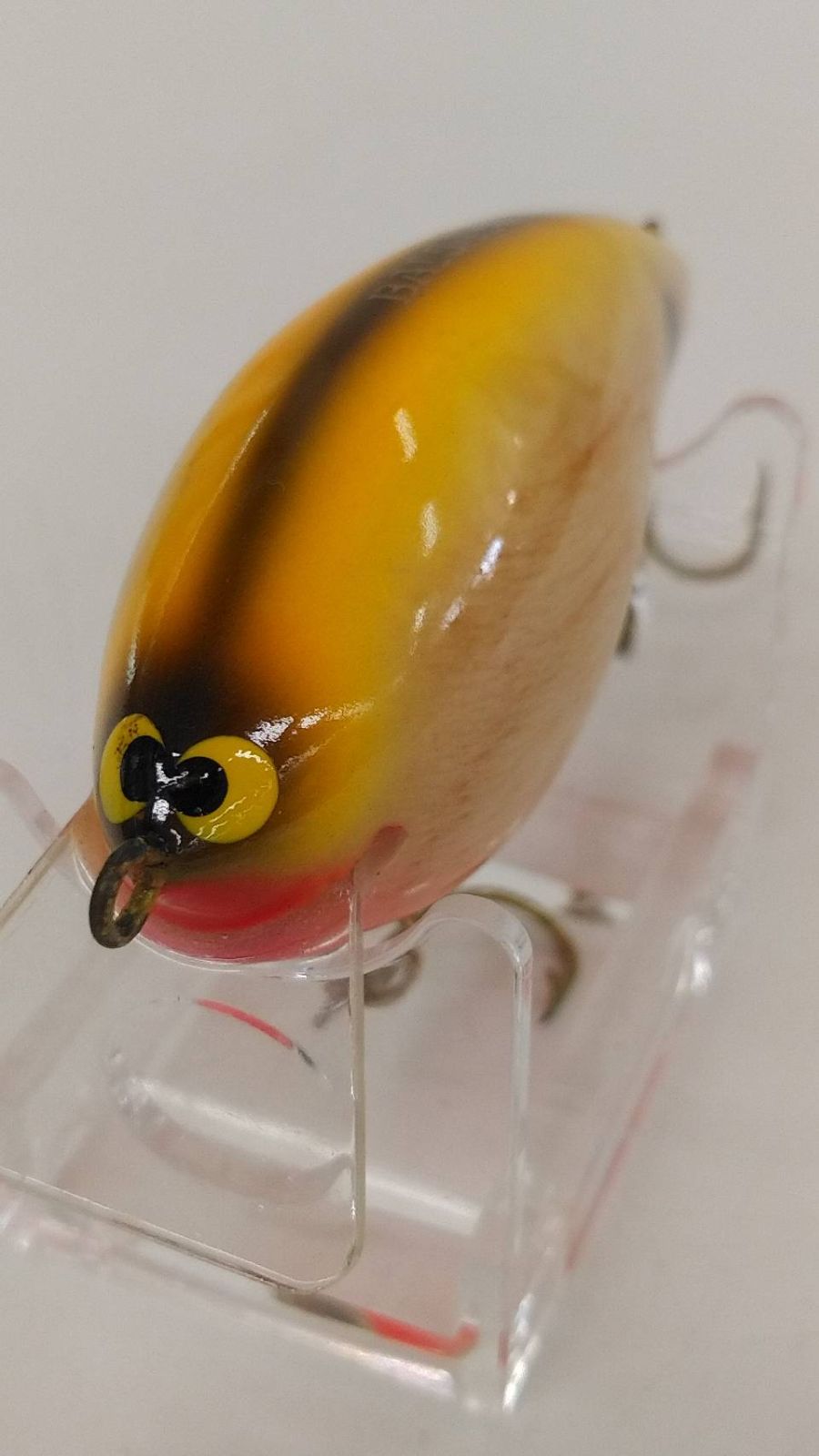 SAURUS BALSA 50 Jr． タヌキ 西岡さんサイン