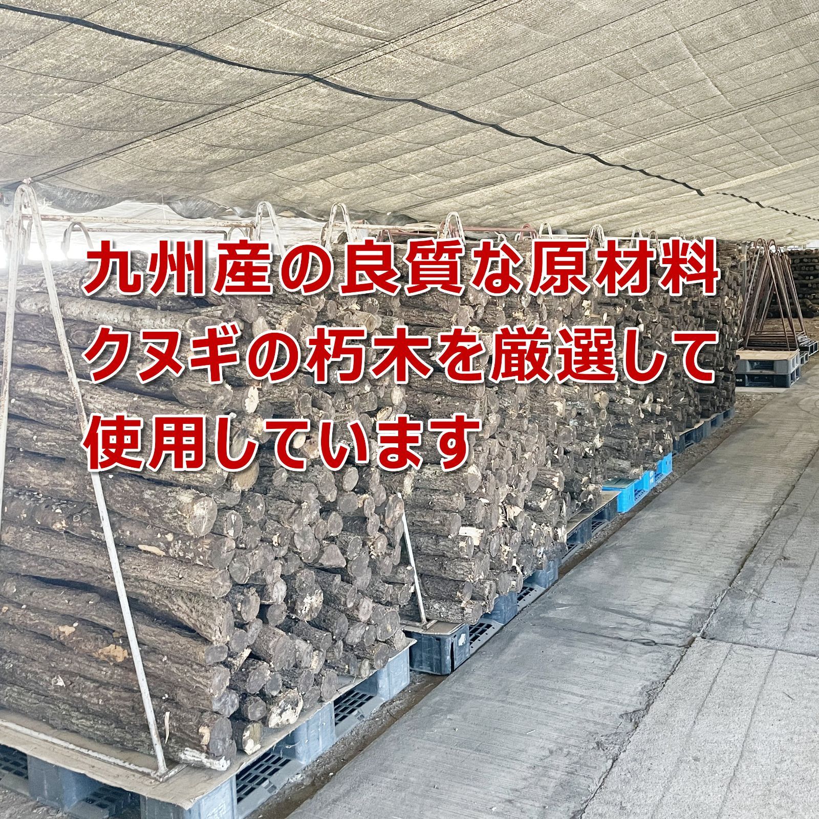 のサムネイル