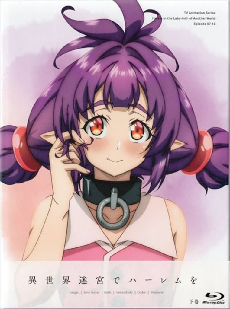 アニメBlu-ray 異世界迷宮でハーレムを Blu-ray BOX 下巻