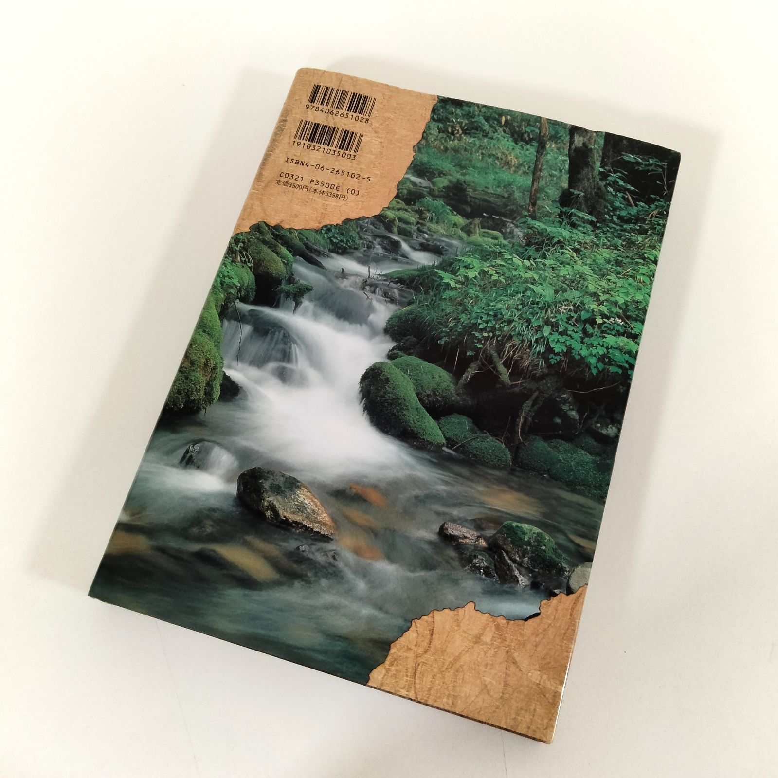 ■02)【同梱不可】考古学・歴史などの本 まとめ売り約70冊大量セット/史料/発掘調査/日本史/遺跡/奈良/政治/博物館/本能寺/古代/仏像/B N-5808] 講談社 歴史発掘2 縄文土器出現 泉拓良 - メルカリ