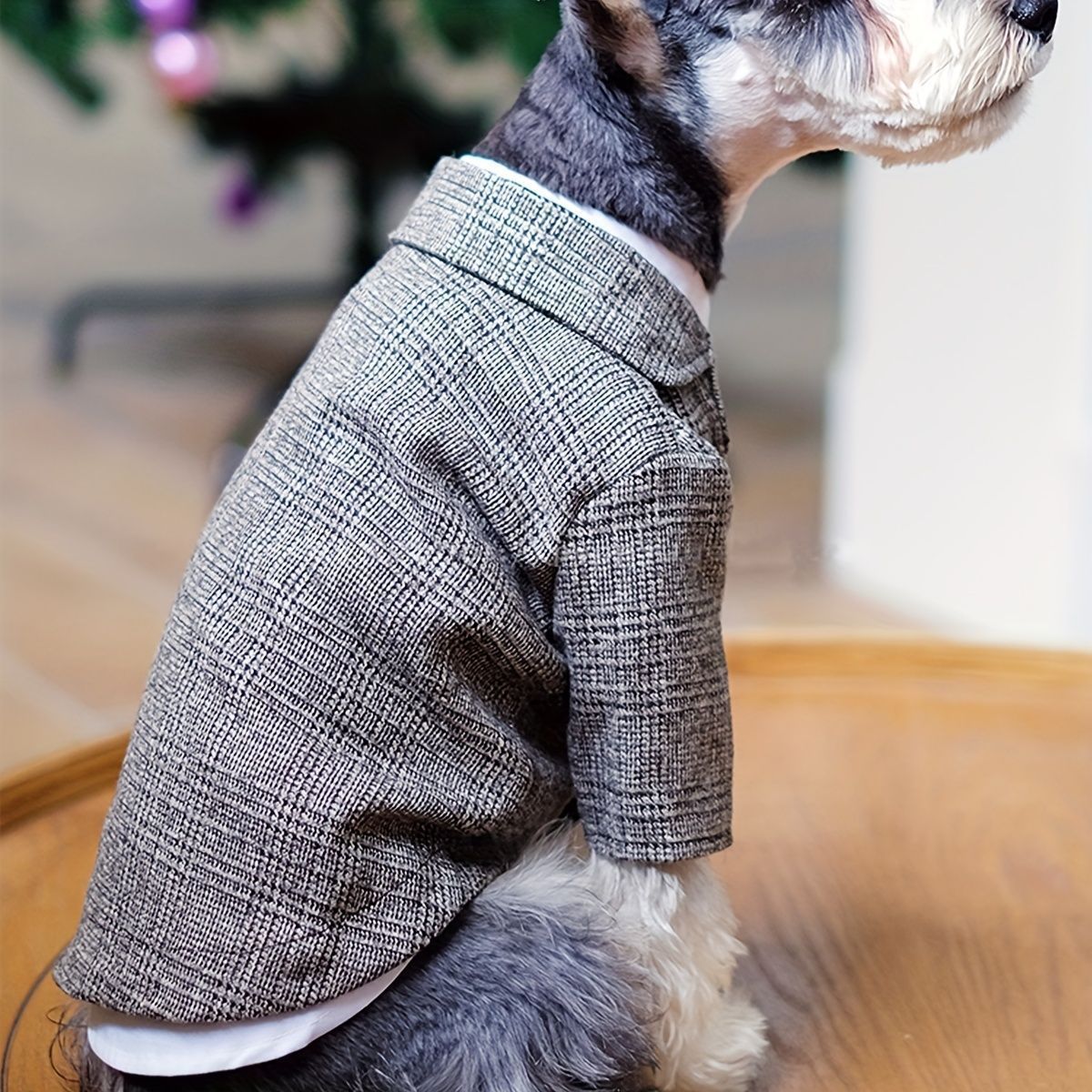 おしゃれ 犬
