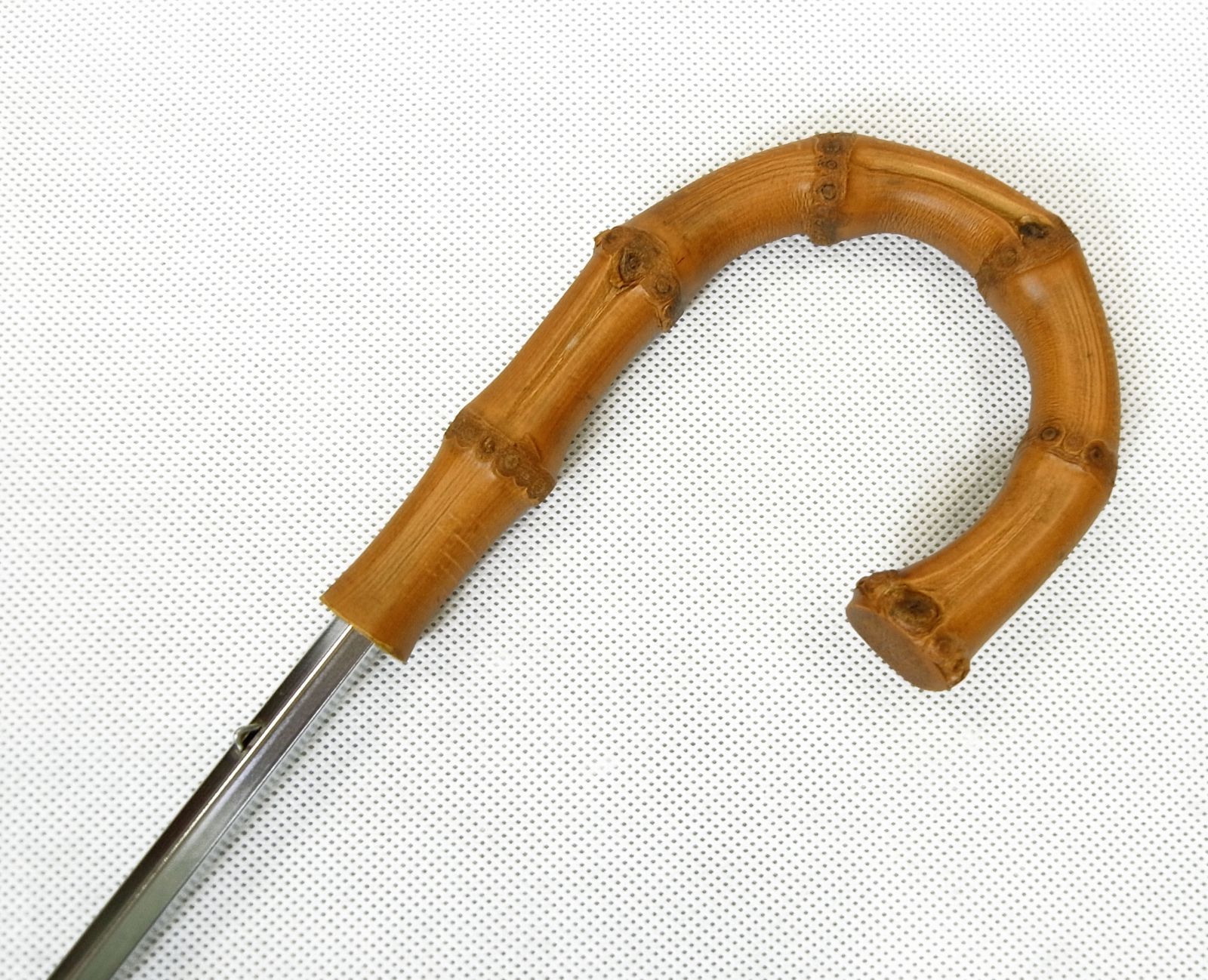 Rib
