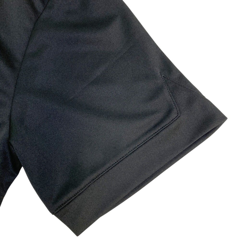 zebra様専用 さぎこう さま専用Neoregelia Bold Zebraなど6点 さぎこう