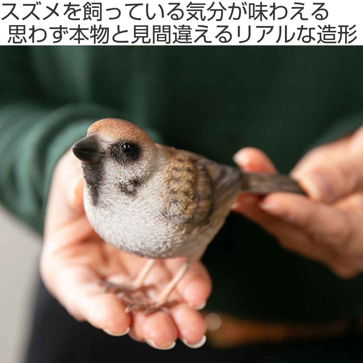 オブジェ BIRDIE BILL スズメ マグネット付き （ 置き物 置物 鳥 動物