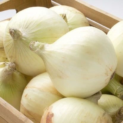 《残りわずか！》淡路島 五斗長玉ねぎ 10kg【兵庫県淡路市】