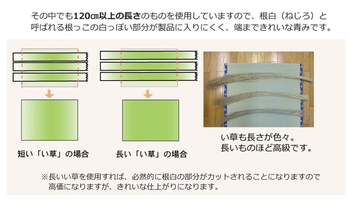 上敷 カーペット