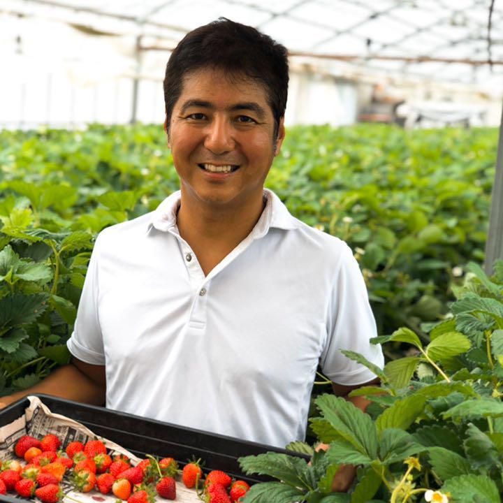 限定】八ヶ岳産 いちご 約250g x 4パック/箱 ※残留農薬未検出 【公式通販】