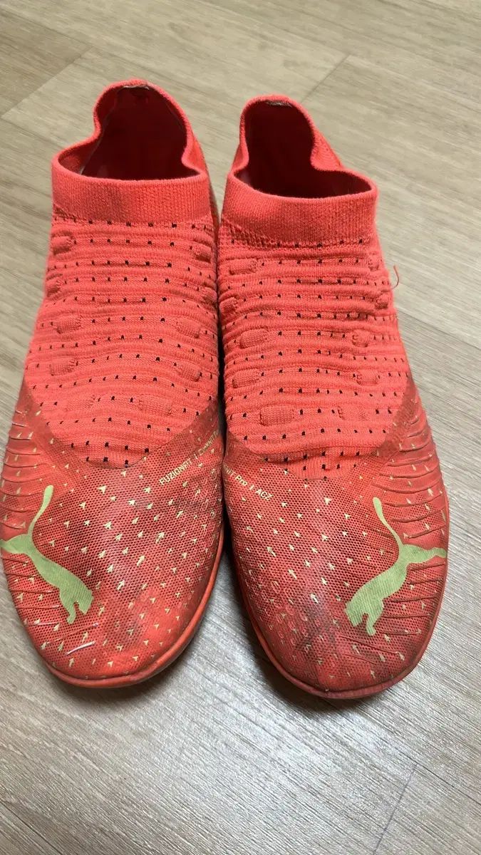 【雷市場（ポンジャン）商品韓国直送】 PUMA(プーマ) サッカーシューズ 255