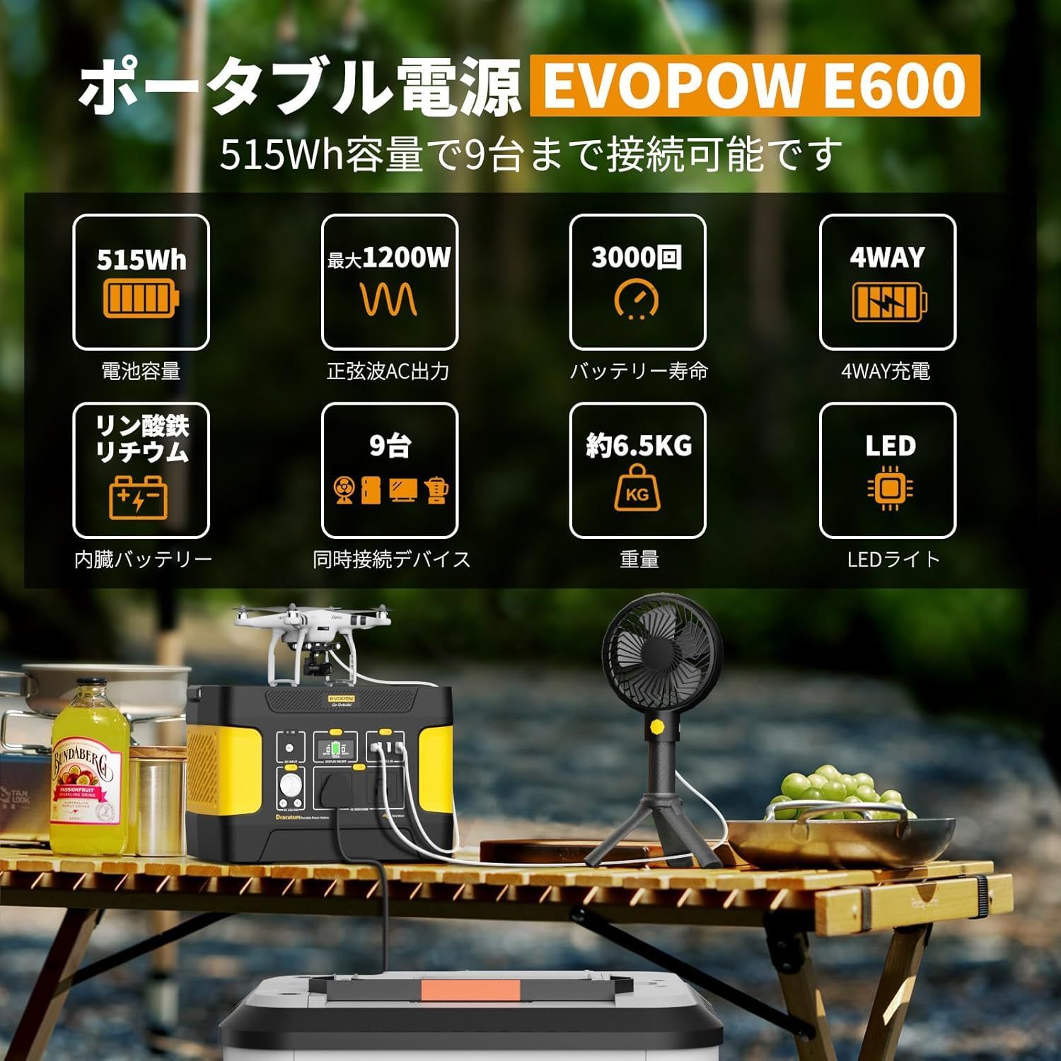 Evopow