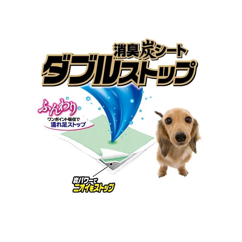 クリーンワン 消臭炭シート クリーンワン ダブルストップ レギュラー100枚×3 Amazon.co.jp: クリーンワン 消臭炭シート ダブルストップ