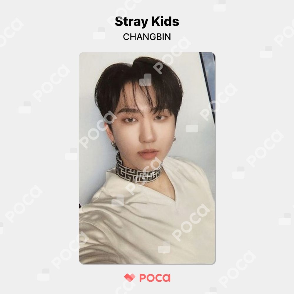straykids stay 1期 トレカ チャンビン straykids チャンビン スキズ トレカ 'Stay in STAY' JEJU