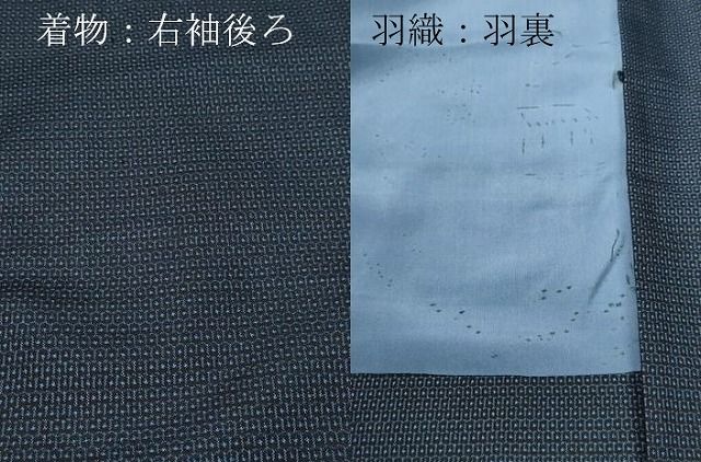 アンサンブル 100亀甲
