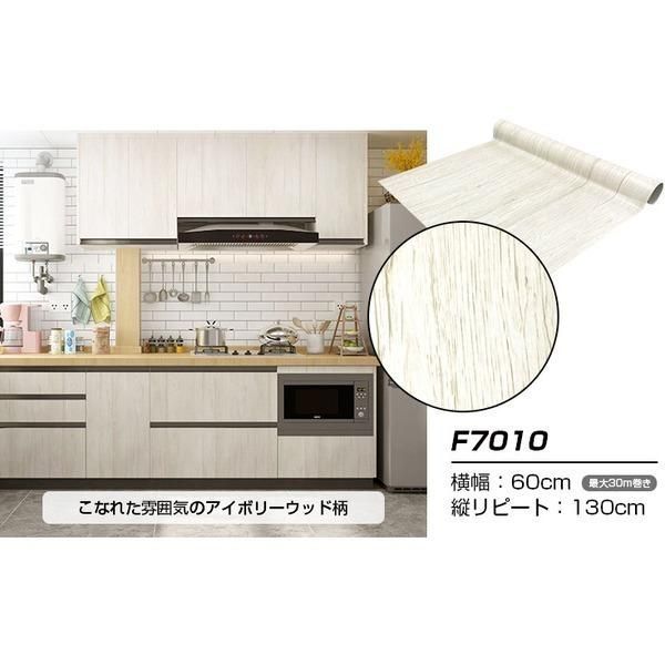 現品】フィカス・アフリカンプリンス 8号 X64番 楽天市場】観葉植物