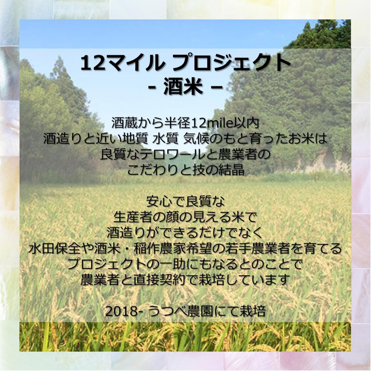 Relaxation Lv3 375ml 純米大吟醸 1本 クリアケース入