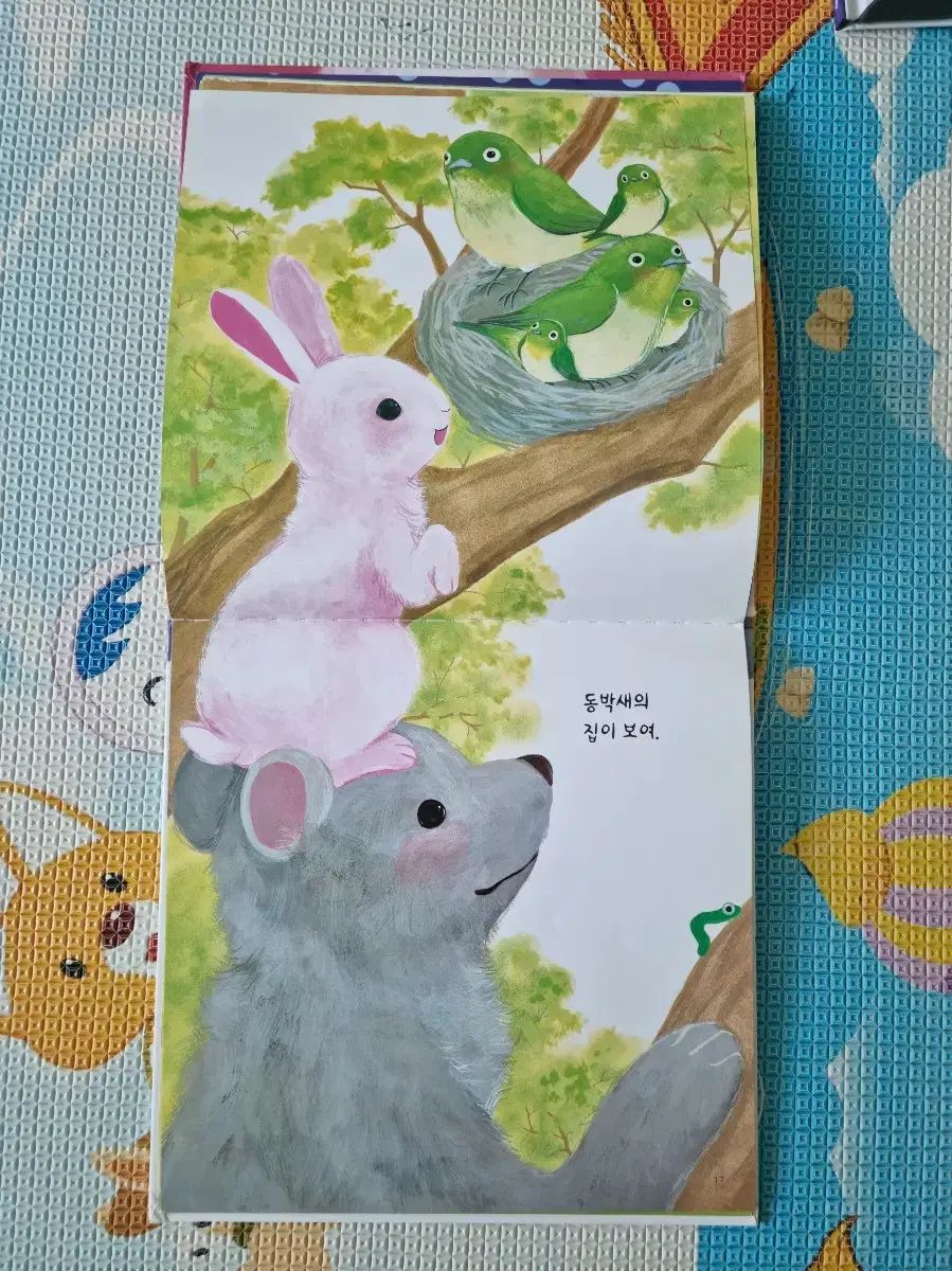 自然観察本
