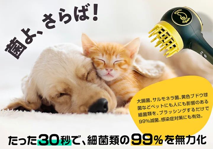 ドライヤー ブラック