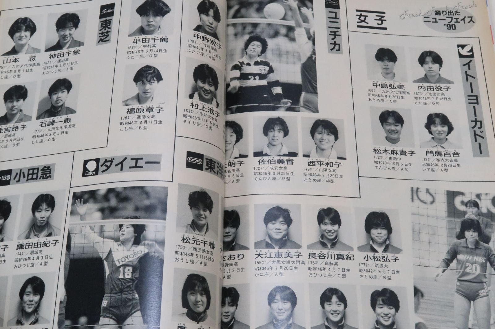 斎藤真由美 益子直美 直筆サイン Yahoo!オークション -「斎藤真由美」の落札相場・落札価格