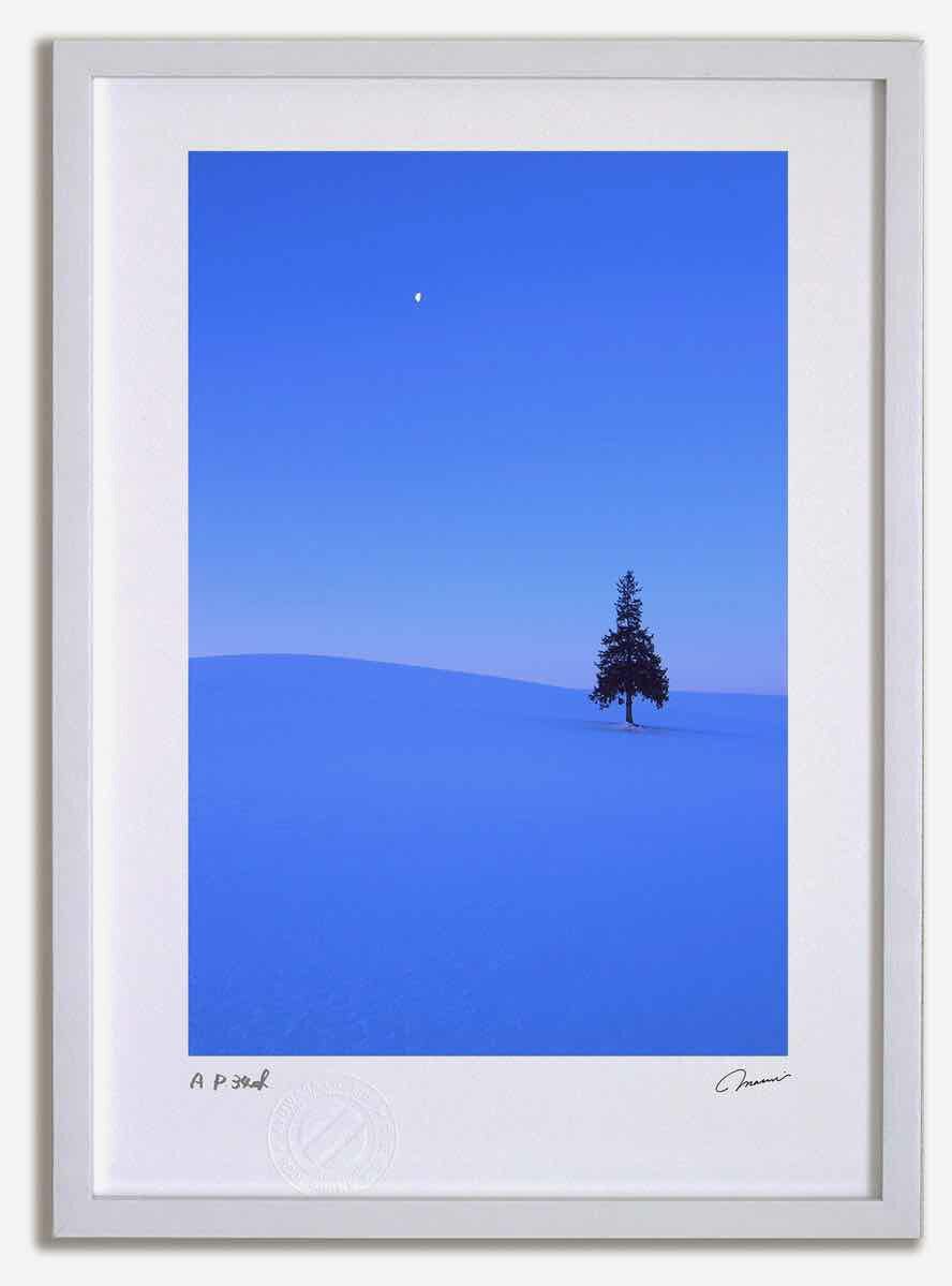 アートフォト 絵画 ベスト 残照の ツリーの木2 高橋真澄 |額入り 額装込 風景画 癒やし Mサイズ おしゃれ 壁掛け 絵