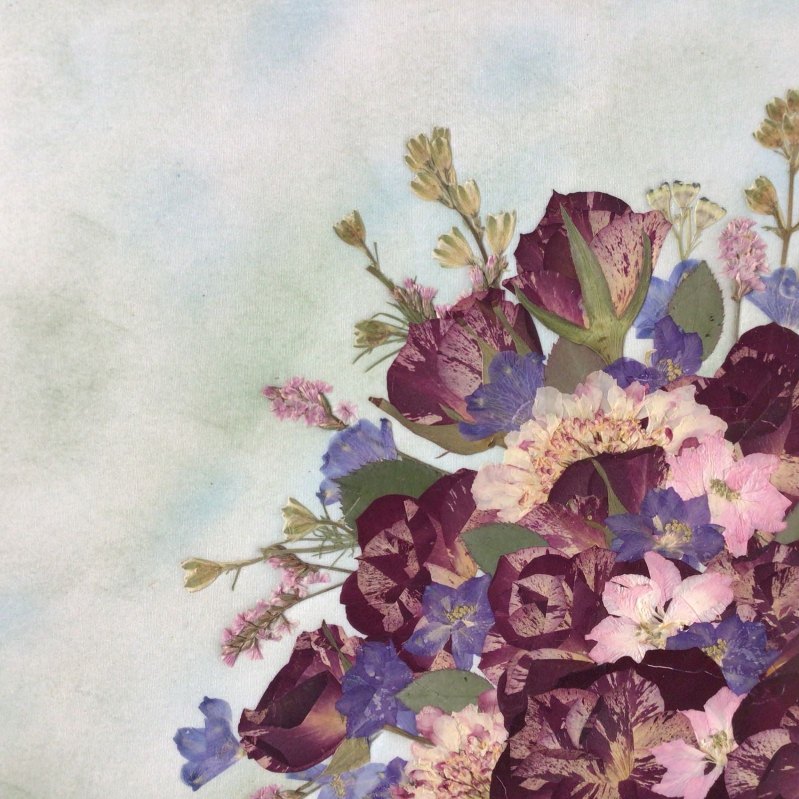 5243 ふしぎな花倶楽部 押し花絵額 額装/額縁 (49 フローラル