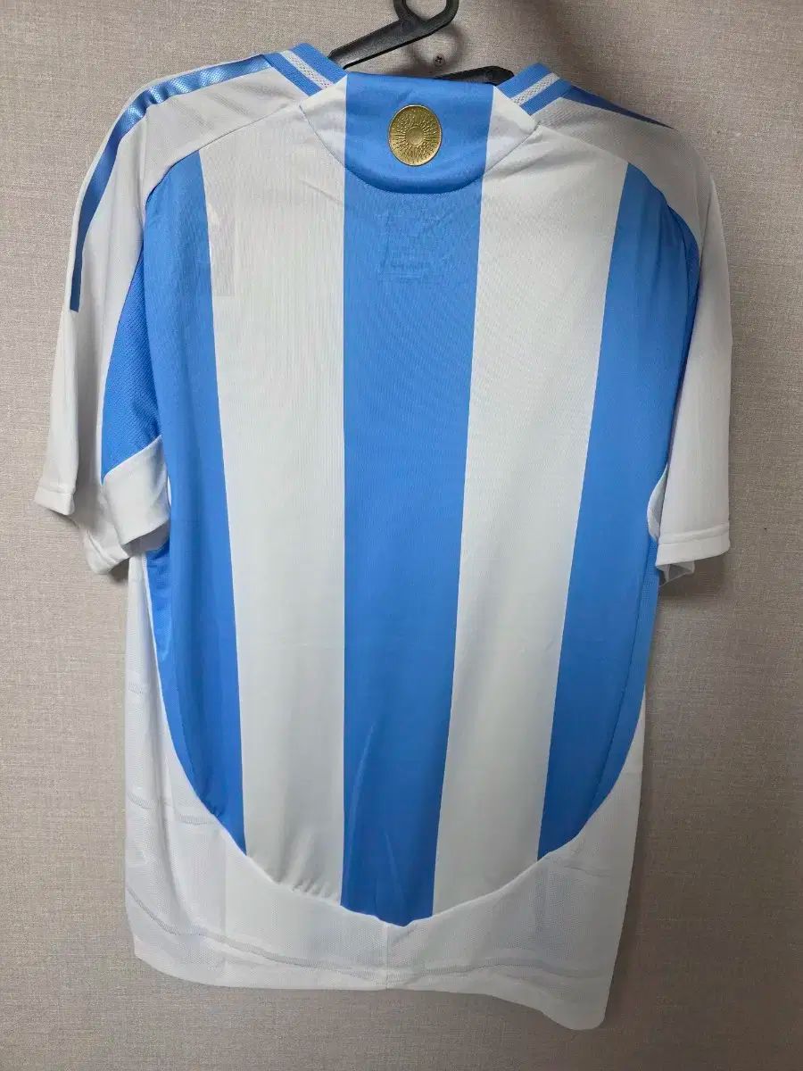 24-26 アルゼンチン アセンティック