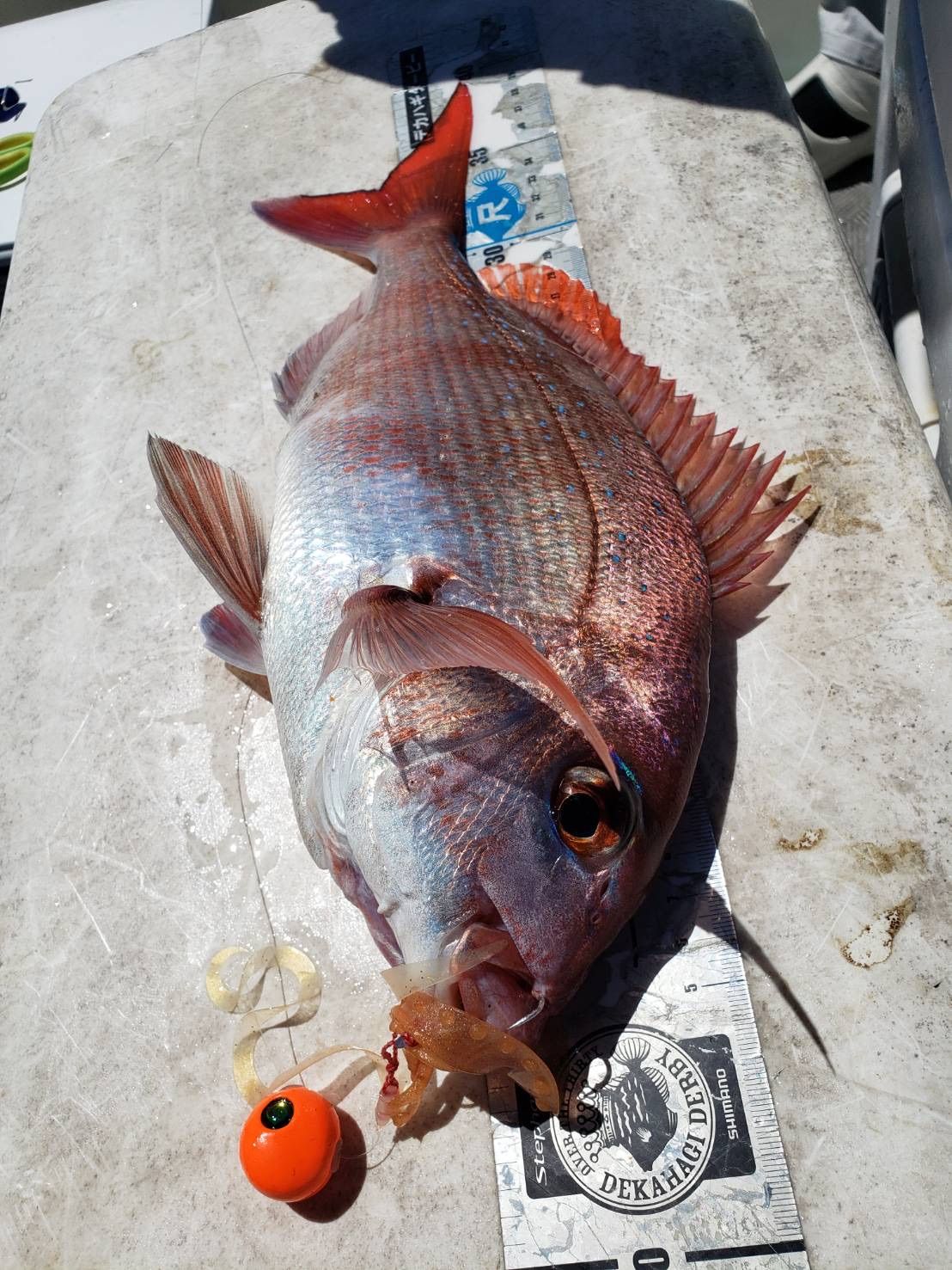 タングステン タイラバ タイラバヘッド 鯛ラバジグ オレンジ 80g3個 送料無料 - メルカリ
