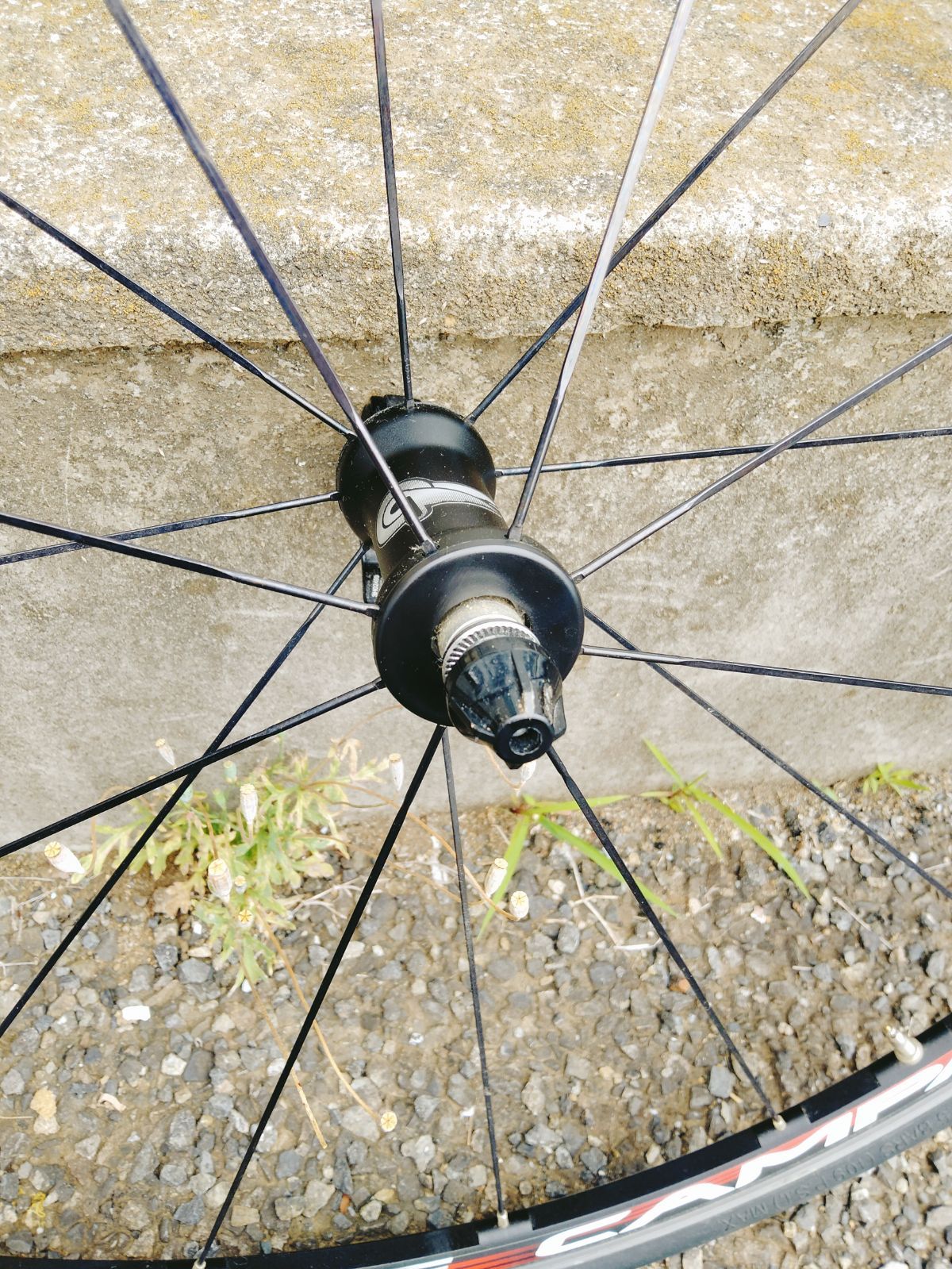 CAMPAGNOLO ZONDA MEGA G3 ホイール 前後セット シマノ 11速