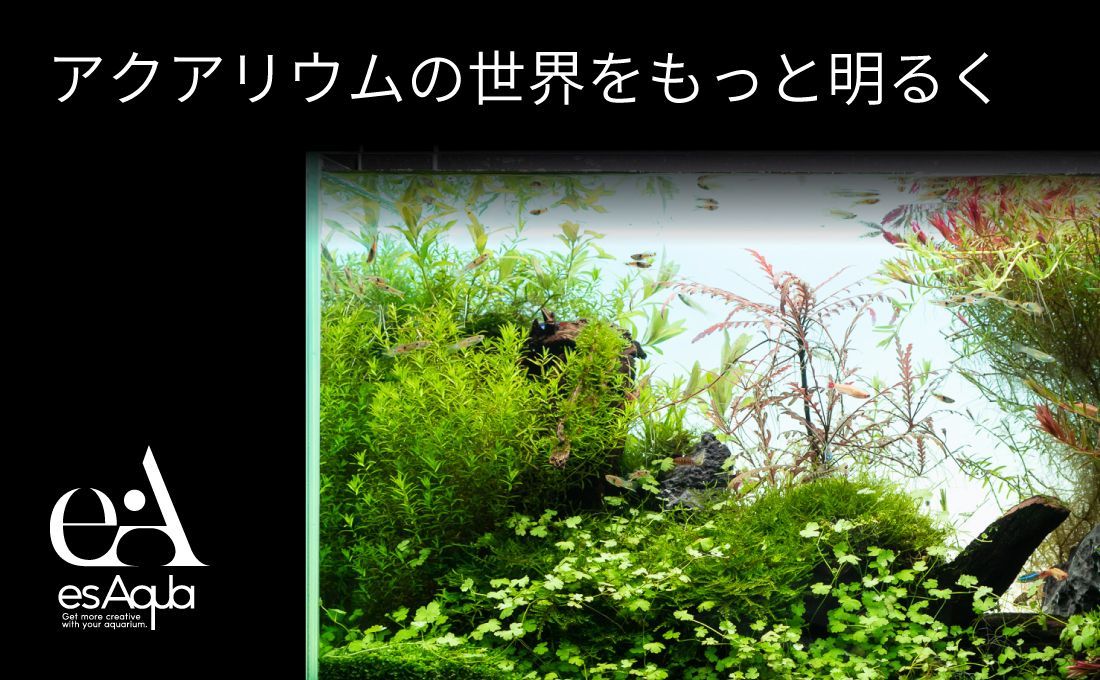 Ledstar Infinity Hylaea AQ-F30 Smart Terrarium | Aquaristic Online