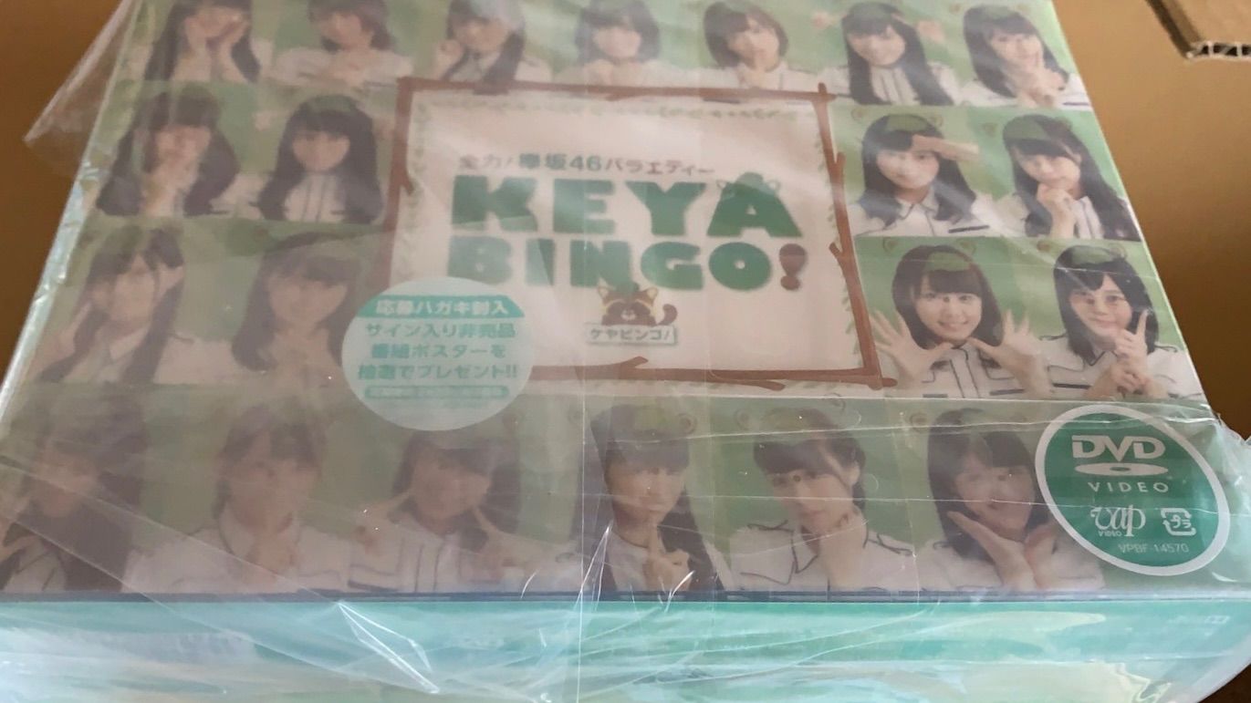 全力! 欅坂46バラエティー KEYABINGO! DVD-BOX (初回生産限定)【新品未