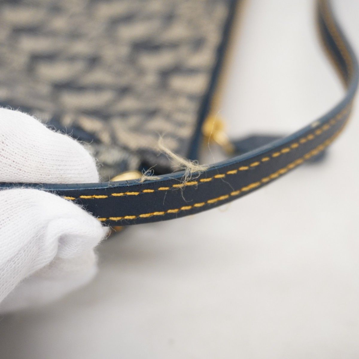 5ib2077-h】クリスチャンディオール ハンドバッグ トロッター サドル  