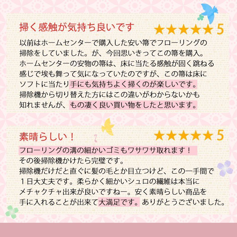 しゅろほうき ホウキ