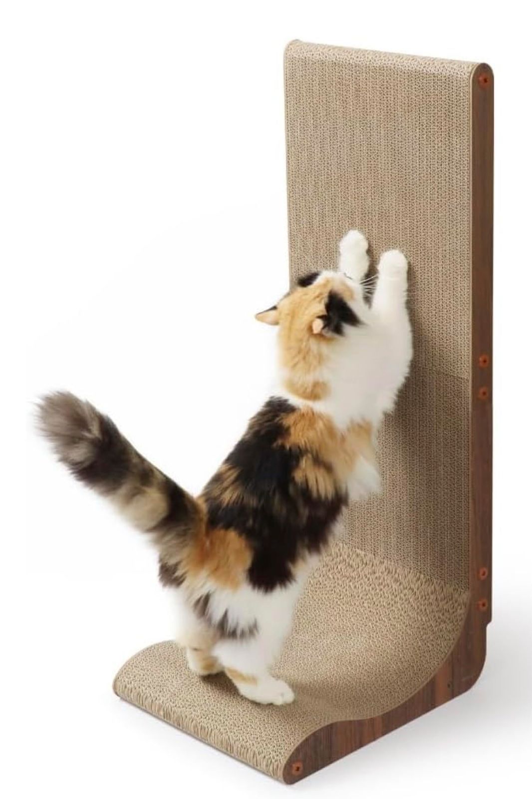 モードエモード 87 春夏 東京コレクション 2024 昭和62年 1987年03月01日