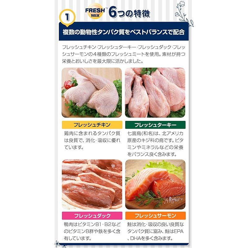 ウェイトマネージメント-スモールシニアドッグ