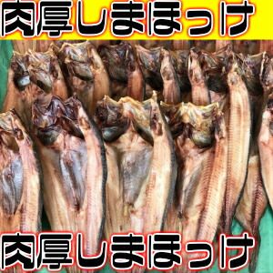 肉厚しまほっけ500ｇ前後x5枚セット ほっけ 縞ほっけ 干物 一夜干し 札幌 場外市場 ホタテ 場外市場 帆立 海鮮グルメ 母の日 遅れてごめんね ホワイトデー 冷凍