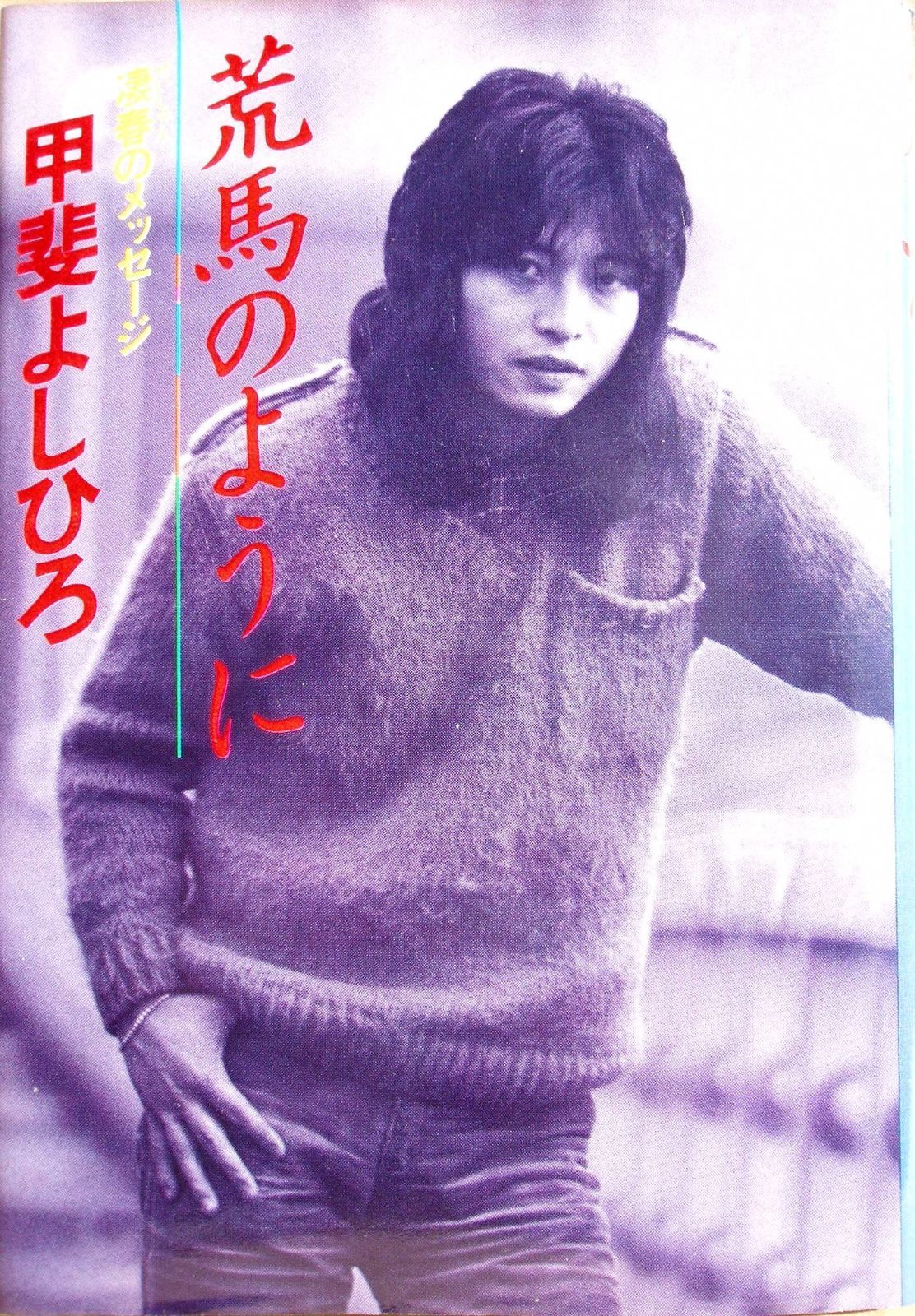 荒馬のように 1979年