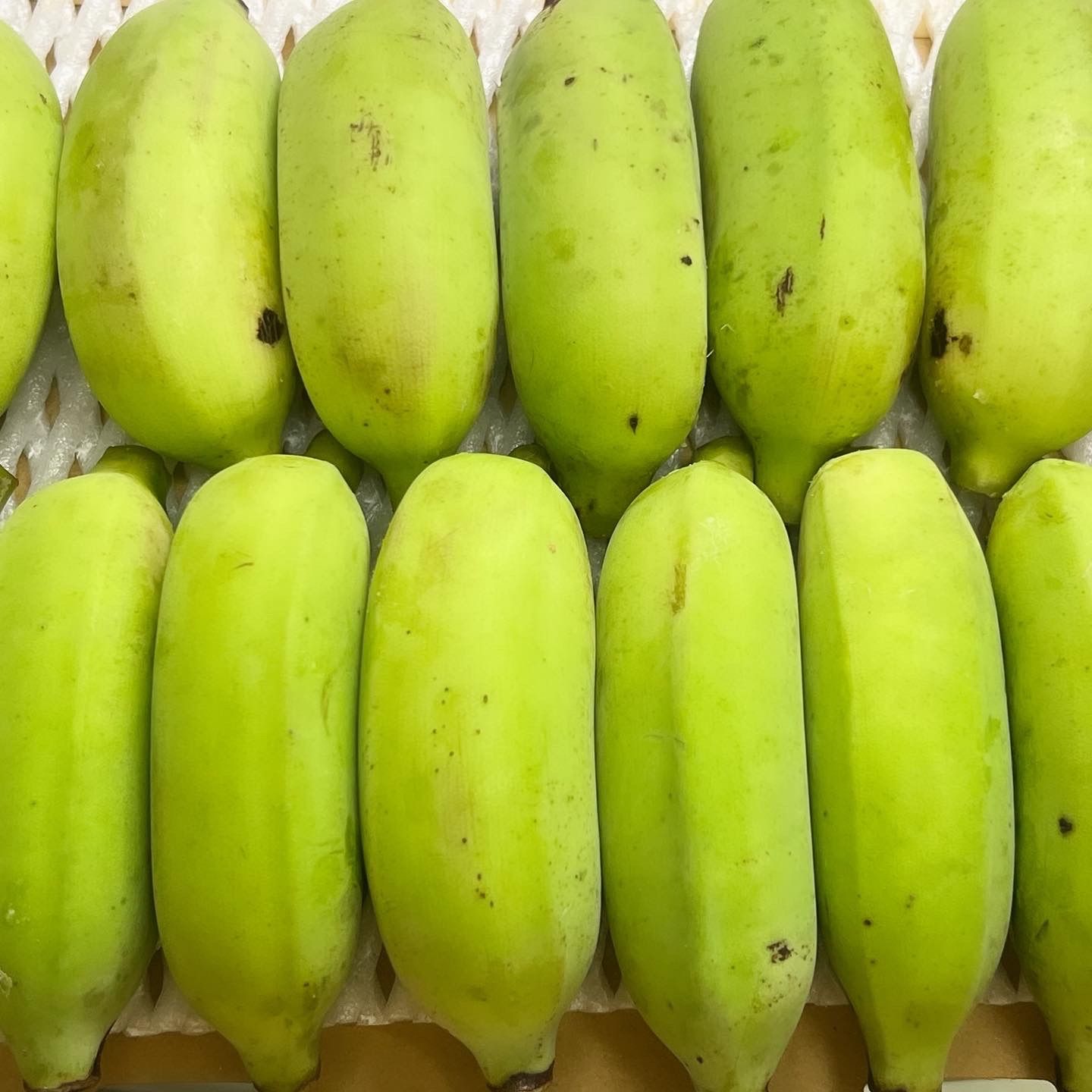 沖縄県産 アップルバナナ 1Kg - メルカリ
