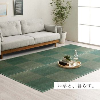 ラグ い草ラグ 団地間4.5畳 約255×255cm 花ござ カーペット 格子柄 ナチュラル シンプル 和室 抗菌防臭 消臭 お手入れ簡単 ルネ