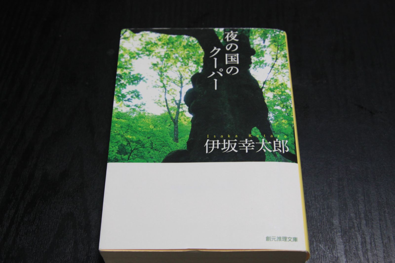 夜の国のクーパー - 文学・小説