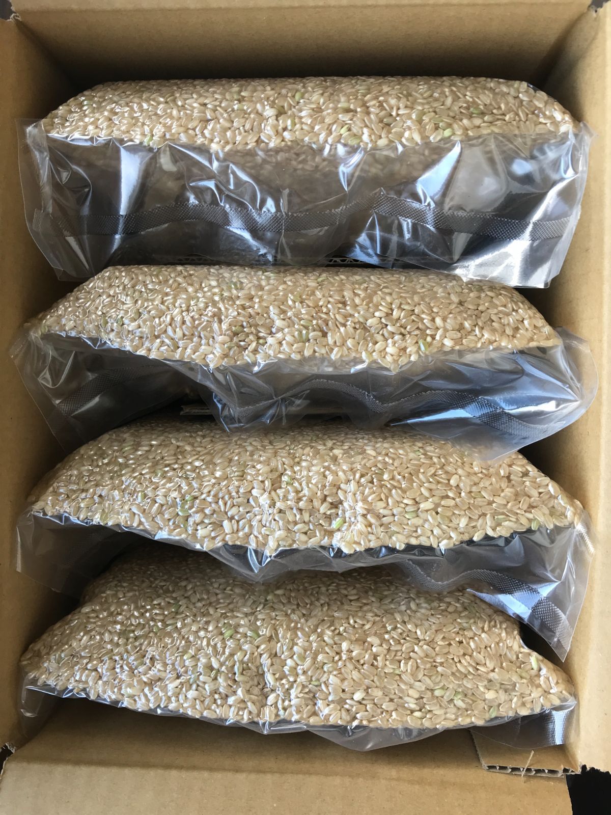 自然栽培 朝日米 10kg小袋×4 R5年 玄米 在来種 農薬不使用 肥料不使用