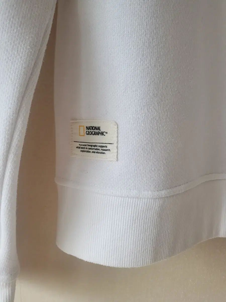 裏起毛 フード付きTシャツ