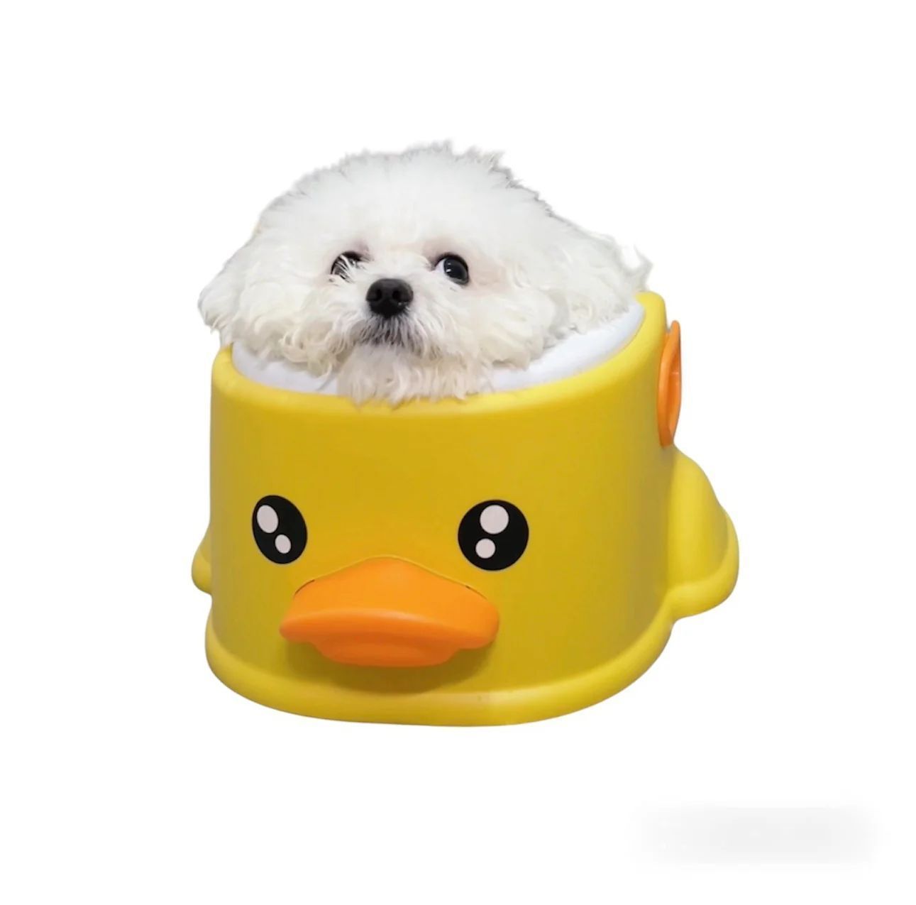 柔らかクッション付き