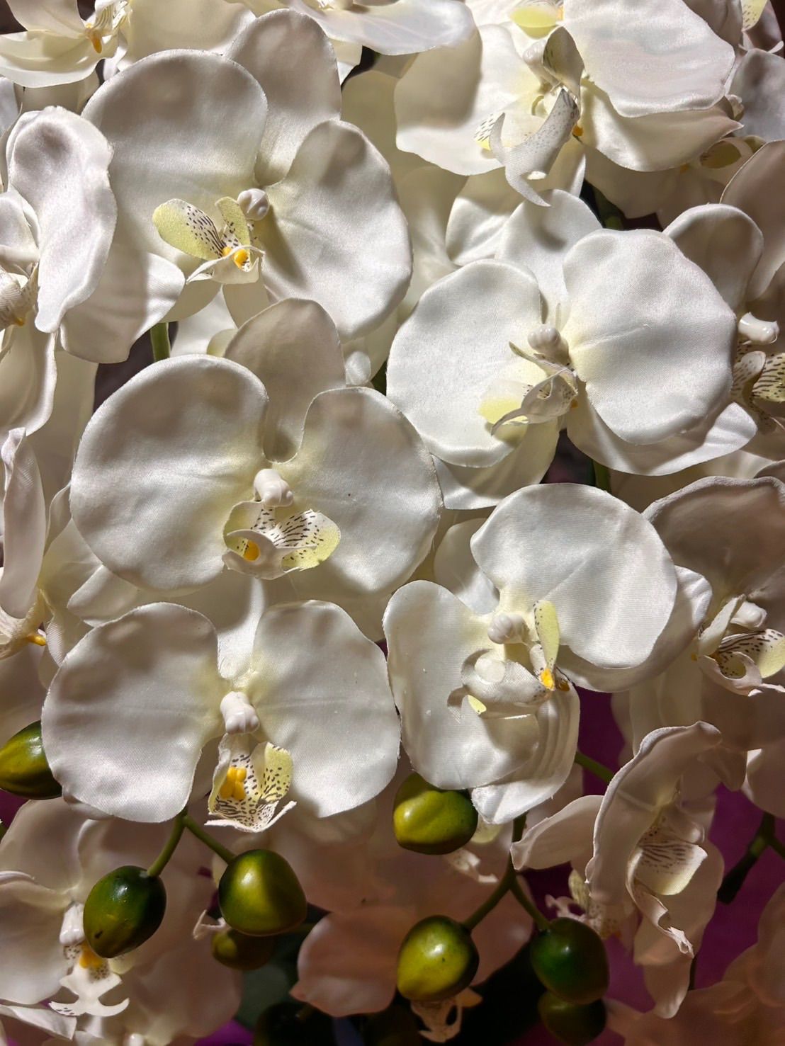 光触媒 人工観葉植物 ウォールグリーン フェイクグリーン 胡蝶蘭8047