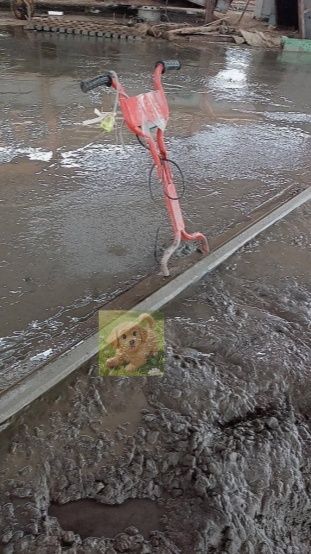 電動スクリード 土間 コンクリート 仕上げツール高周波振動ステンレス鋼 金コテ作業 建設機械均し機械 220vフィルムなし 1m