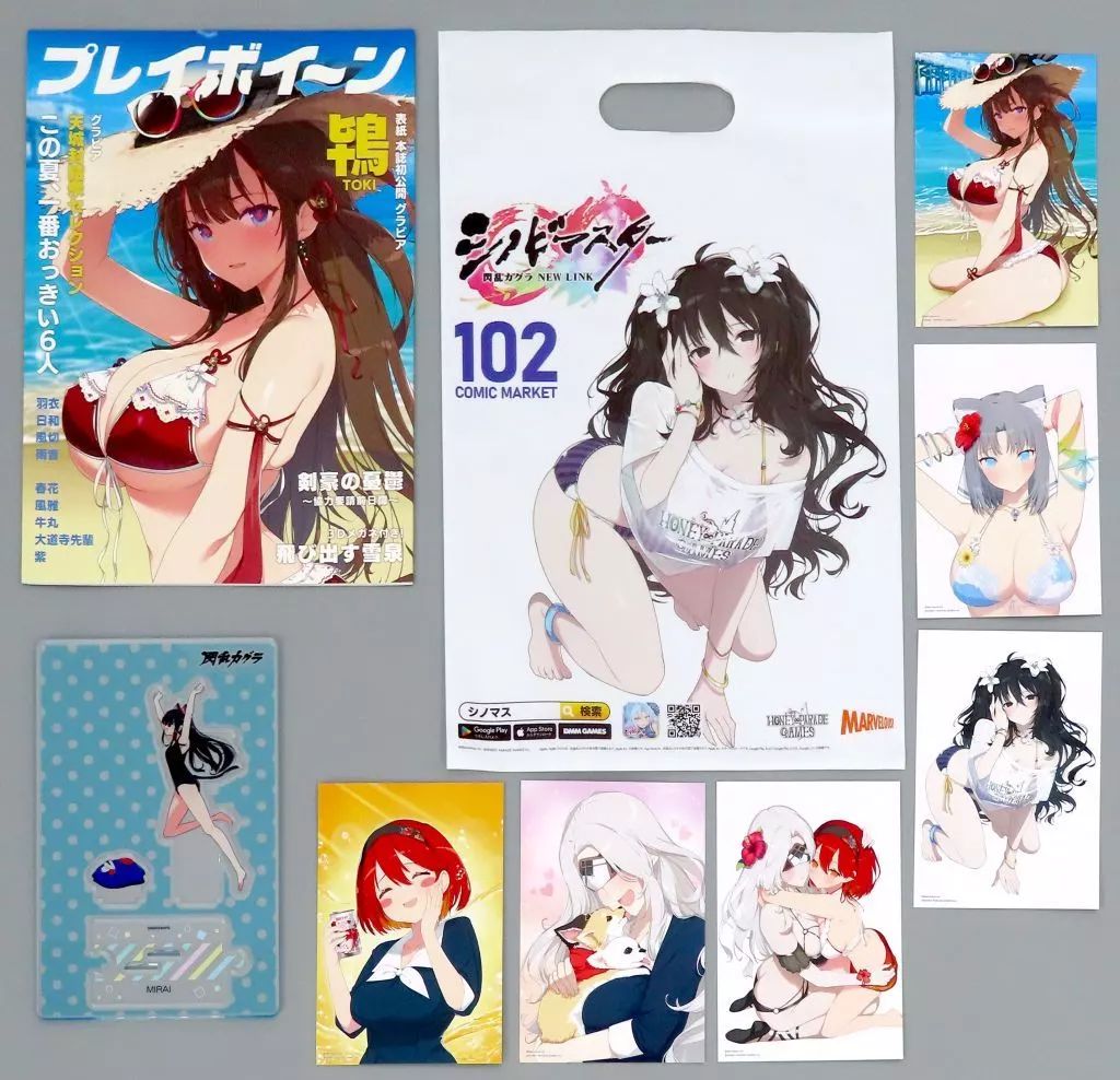 アニメムック ≪PC スマホゲーム書籍≫ 付録付 シノビマスター 閃乱カグラ C102 シノマスセット