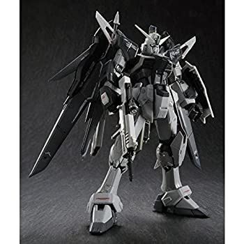 【-非常に良い】 RG 1/144 ZGMF-X42S デスティニーガンダム ディアクティブモード プラモデル (プレミアムバンダイ限定)