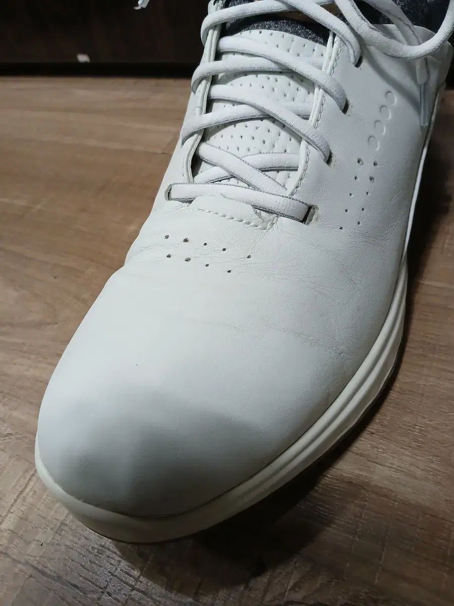 ECHOゴルフシューズ Ecco(エコー) GORE-TEX(ゴアテックス) ゴルフシューズ 275mm