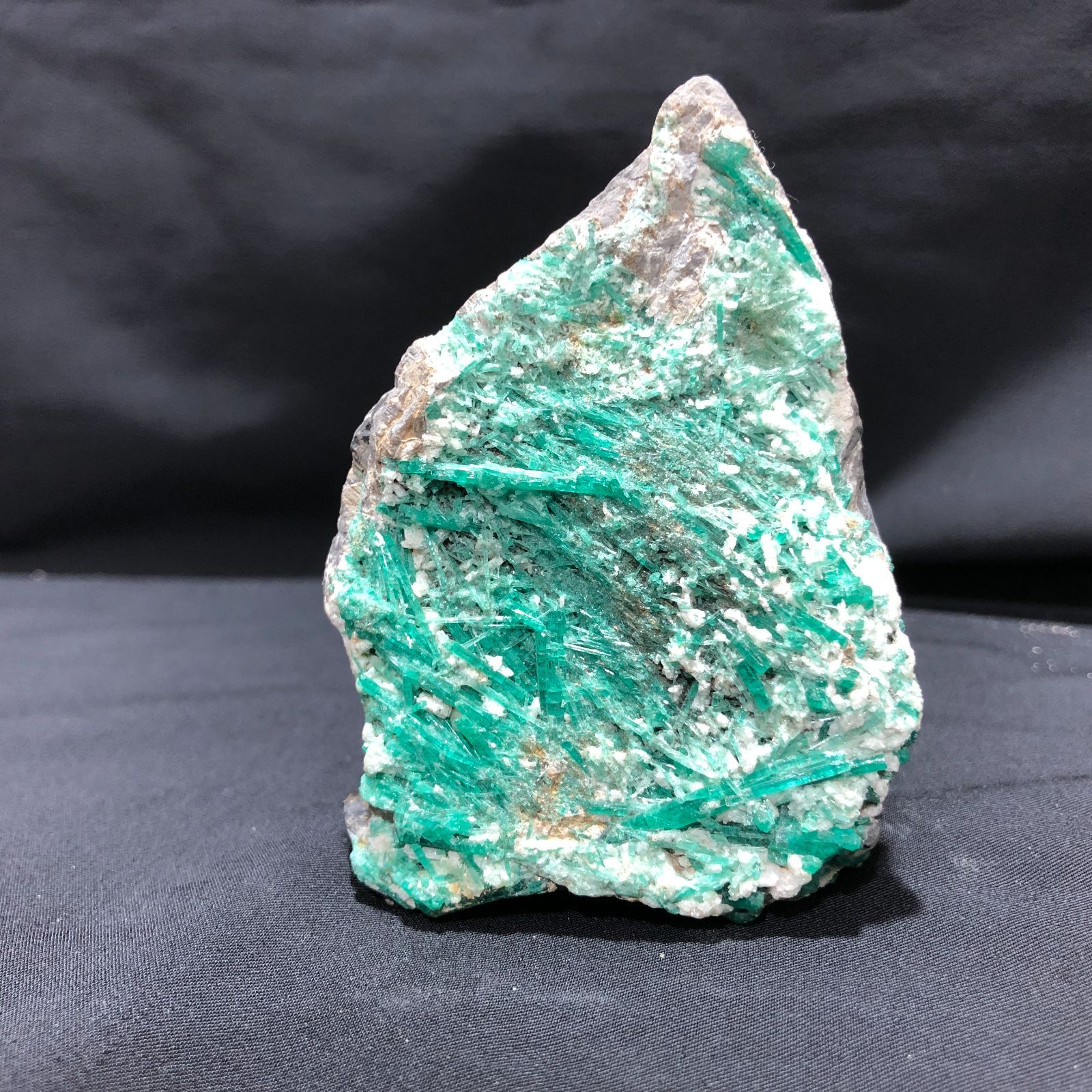 No.265❤黒猫 向日葵❤レジンヘアゴム  ブローチ No.265❤黒猫 向日葵❤レジンヘアゴム ブローチ