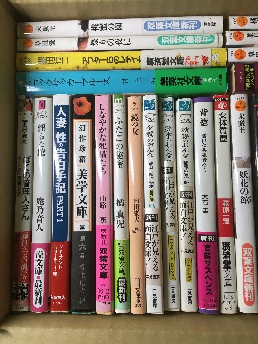 官能小説 文庫 大量おまとめ】◇約60冊セット ダブリ・不揃い