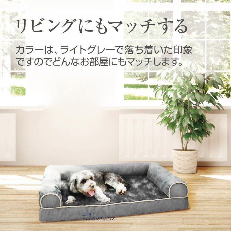 犬 猫