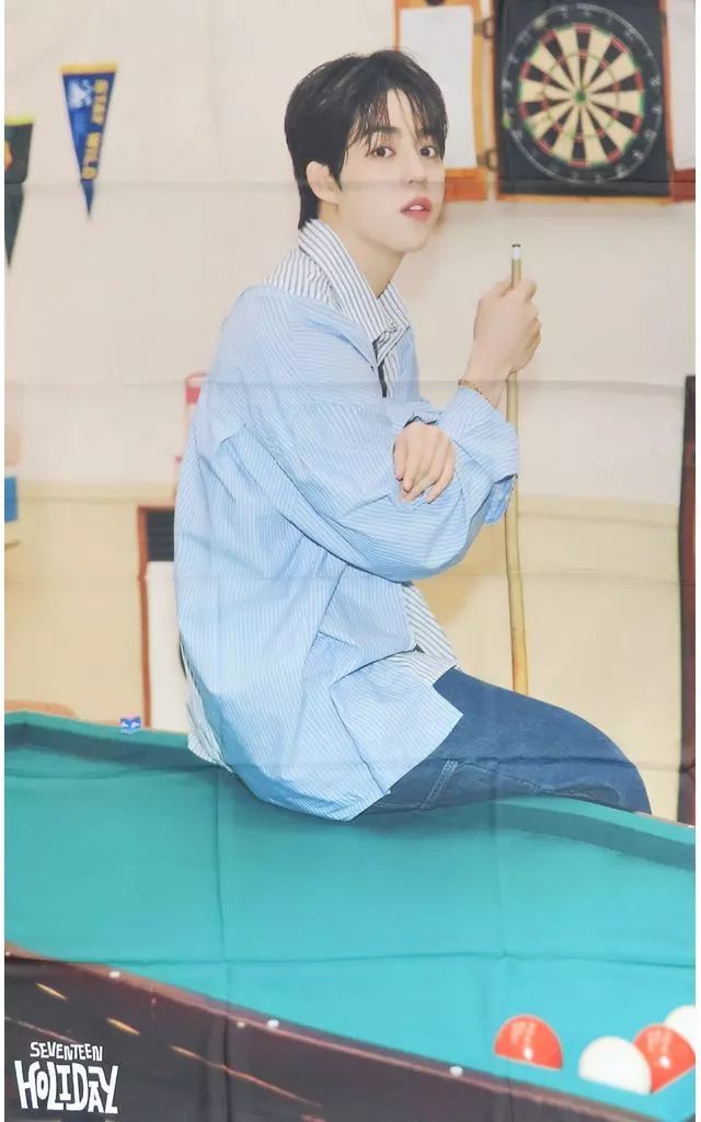 Seventeen the8 holiday ファブリックポスター SEVENTEEN 2025 JAPAN FANMEETING 'HOLIDAY' – Querencia
