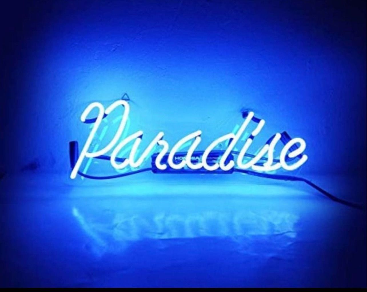 ネオンサイン paradise NEON ネオン管 オーダーメイド 英文字 【公式通販】